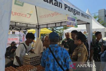 Pemprov Papua mulai susun standar harga satuan komoditas pertanian