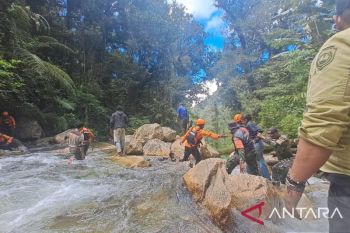 Operasi pencarian presenter TVRI Papua Barat belum membuahkan hasil