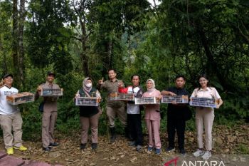 Penyelundupan ratusan burung liar dari Bali digagalkan di Ketapang