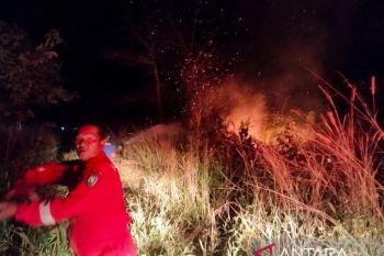 Damkar Belitung berhasil padamkan kebakaran lahan di kawasan perumahan