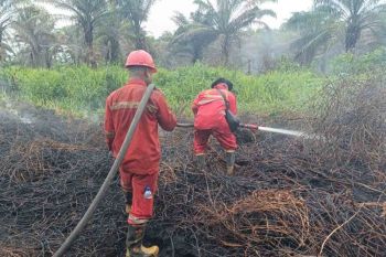 Manggala Agni padamkan tiga hektare karhutla di Nagan Raya
