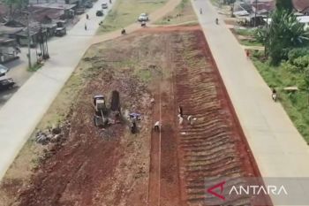 Pemkab Bogor kembangkan kawasan pertanian terpadu di median Jalan Bojonggede-Kemang
