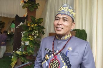 BPBD Palangka Raya tangani 11,5 hektare lahan terbakar