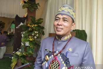 BPBD Palangka Raya tangani karhutla seluas 11,5 hektare
