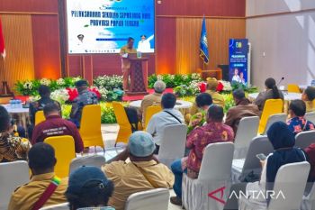 Papua Tengah biayai 10 SSH di 8 kabupaten