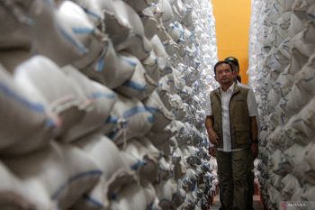 Tinjau stok beras
