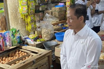 Pemerintah memastikan Warung Pangan bukan saingan KDKMP