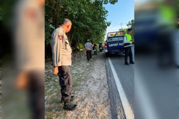 Polisi dalami kasus tabrak lari maut di Jalan Adonis Samad, periksa dua saksi