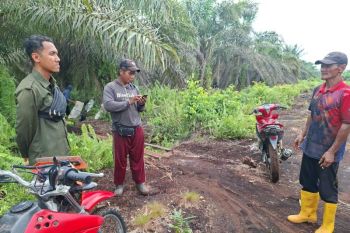 Sering dilihat warga, BBKSDA Riau tidak menemukan jejak harimau di Mengkapan Siak