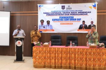 Pemprov Papua Selatan dorong UMKM mampu berinovasi