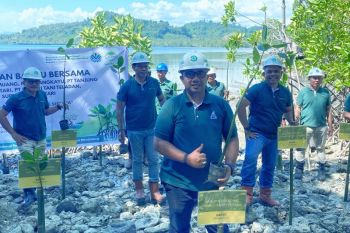 Astra Agro dorong pelestarian pesisir melalui penanaman bakau di Pasangkayu