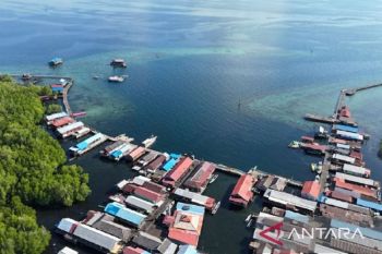 Kaltim optimalkan daya tarik hiu paus di destinasi wisata Pulau Miang