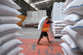 Bapanas assures El Nino will not affect Indonesia's food security