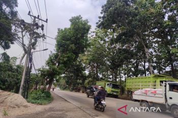 BMKG imbau masyarakat Bengkulu antisipasi puncak musim kemarau