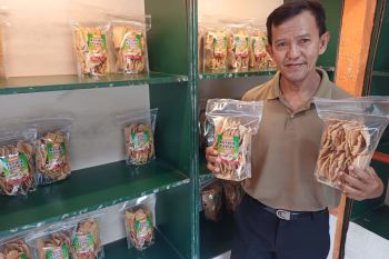 Produk IKM keripik tempe Tanjungpinang go internasional