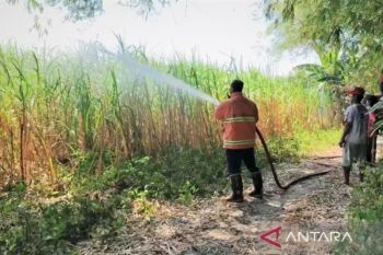 Damkar Magetan minta warga waspadai potensi karhutla saat kemarau