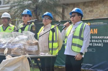 Kementan pastikan pasokan MBM aman usai pemusnahan impor asal Brasil