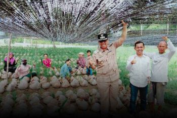 KPAD Natuna Beri Layanan Internet Gratis