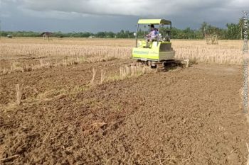 Pemkab Pasaman Barat bentuk tiga brigade pangan upaya tingkatkan produksi pangan