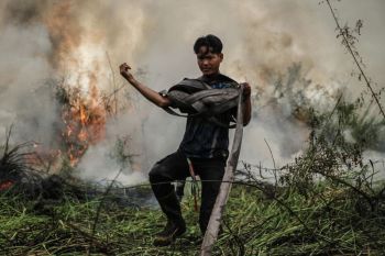 Pemkot Palangka Raya pastikan tindak tegas pelaku penyebab karhutla