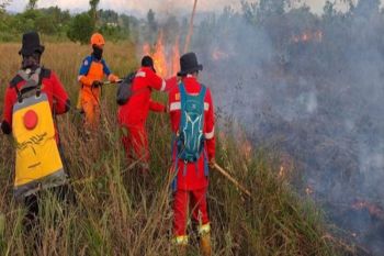 BPBD Kalsel sigap padamkan karhutla di sekitar kompleks perkantoran gubernur