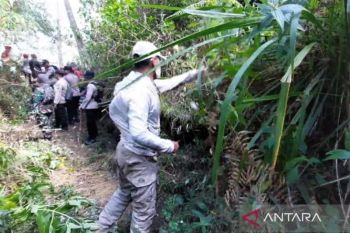 Perhutani bangun ilaran guna mitigasi karhutla di lereng Gunung Lawu