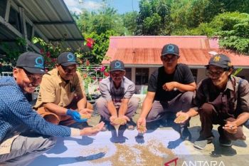 Pakan alternatif perkuat usaha pembudidaya ikan di Kandis