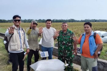 Bulog Banyumas optimistis panen raya akhir Juli mendongkrak serapan gabah