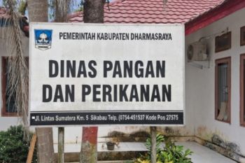 Pemkab Dharmasraya sebut penyaluran bantuan pangan sudah 100 persen
