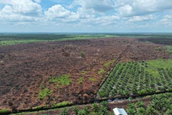 Makan waktu 13 hari untuk padamkan karhutla 80 hektare di Mandau