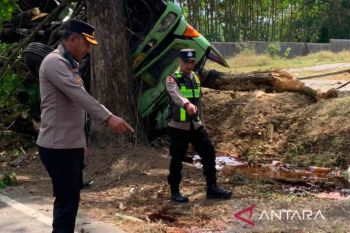 Satu orang tewas akibat kecelakaan tunggal di Jalibar Malang