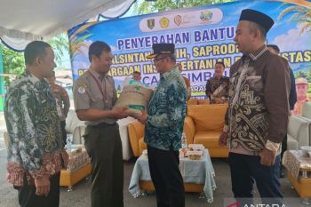 Petani Tabalong terima bantuan benih lokal dari Kementerian Pertanian