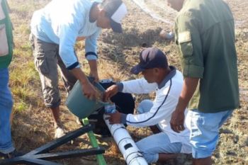 BPMP Maluku mulai penanaman perdana program PM-AAS di Seram Barat