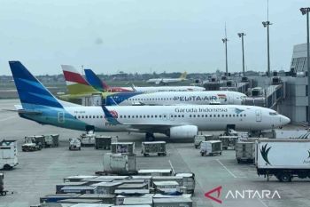 Indonesia plans Garuda-Pelita merger to strengthen national airline