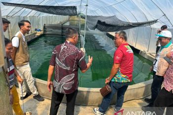 PLN perkuat ketahanan pangan lokal di Sulut
