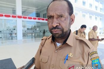 Pemkab Jayawijaya percepat proses verifikasi 600 honorer K2