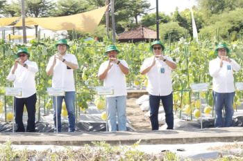 Petro Agrifood Expo di Gresik kampanyekan regenerasi petani