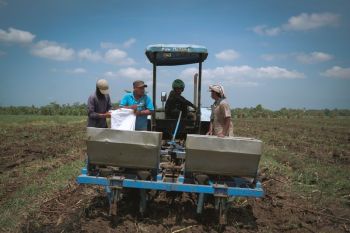 Petani tebu apresiasi program bongkar ratoon Kementan untuk swasembada