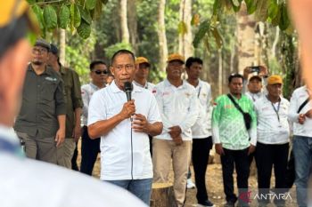 Pemkab Bulungan Rancang Draf Perbup Hak Kades Setelah Purnatugas