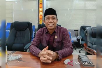Legislator Kapuas dorong pemulihan layanan listrik kembali normal