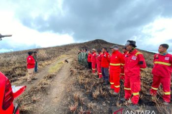 Balai TN Tambora dalami penyebab dan pelaku kebakaran savana
