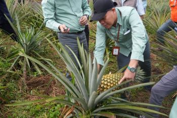 PT Vale luncurkan kelas konservasi bagi pelajar di Luwu Timur