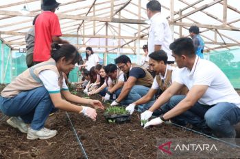 PLN dukung kemandirian petani bunga Tomohon
