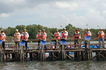 PLN Indonesia Power tanam 15 ribu bakau di Tahura Ngurah Rai