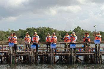 Minister calls for mangrove rehabilitation to back food security