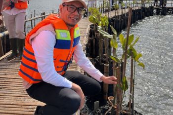 PLN IP kembangkan Batu Lumbang Bali sebagai ekowisata berkelanjutan