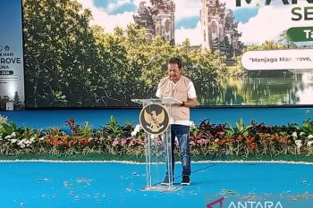 Menteri KKP minta perluas upaya rehabilitasi mangrove
