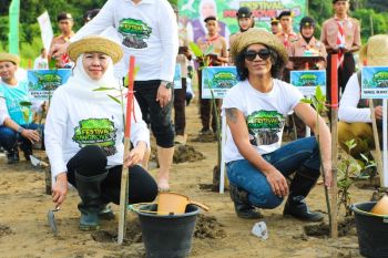 Khofifah ajak masyarakat masifkan gerakan tanam mangrove