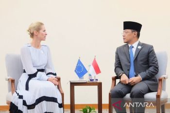 Indonesia terus dorong percepatan penandatanganan IEU-CEPA