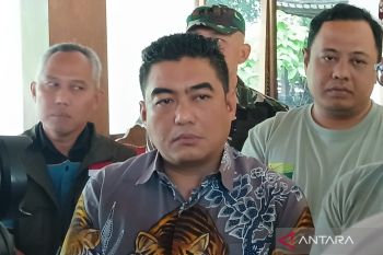 Direktur Kementan mendorong sinkronisasi regulasi sektor pertembakauan